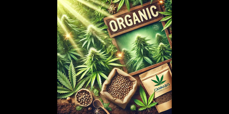 Organic fertilizers and products