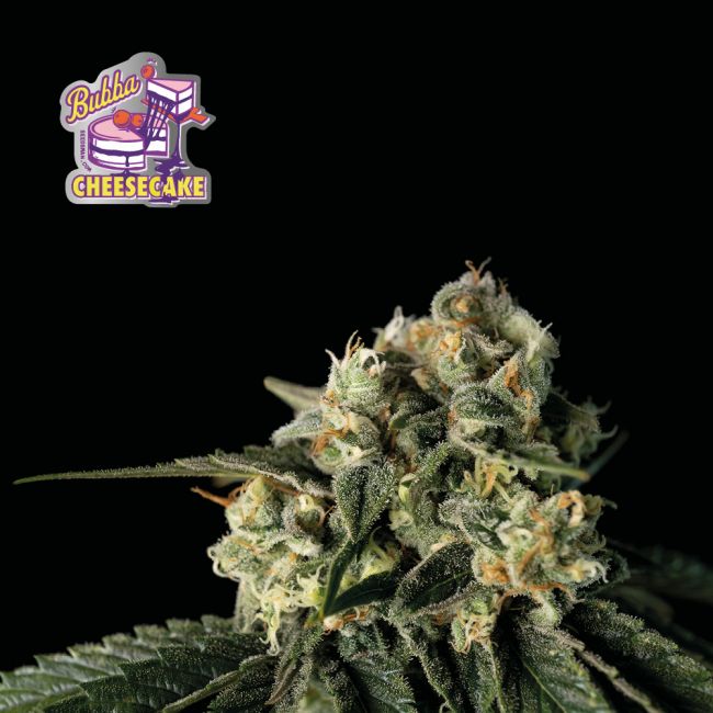 Bubba Cheesecake