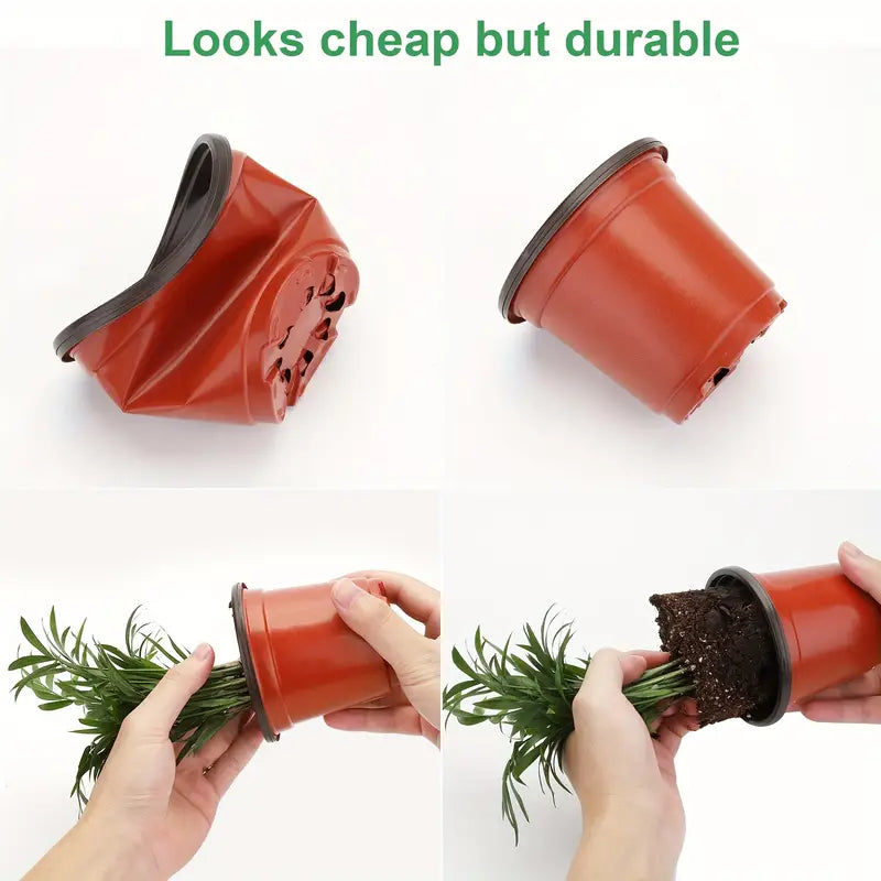 Plastic Nursery Pot With Clear Dome