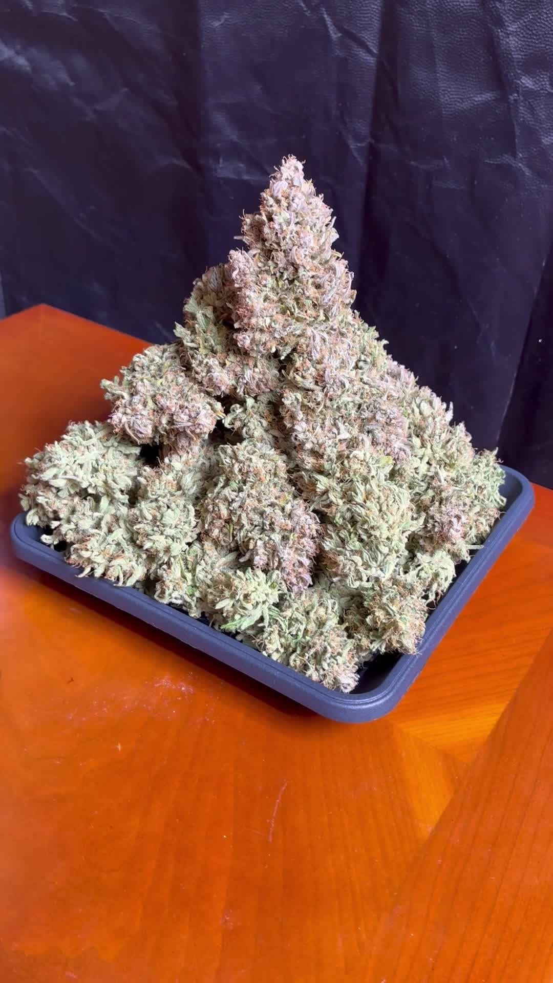 CBD Auto 1:1 (CBD Crack)