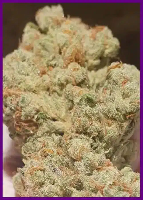 Candy lime