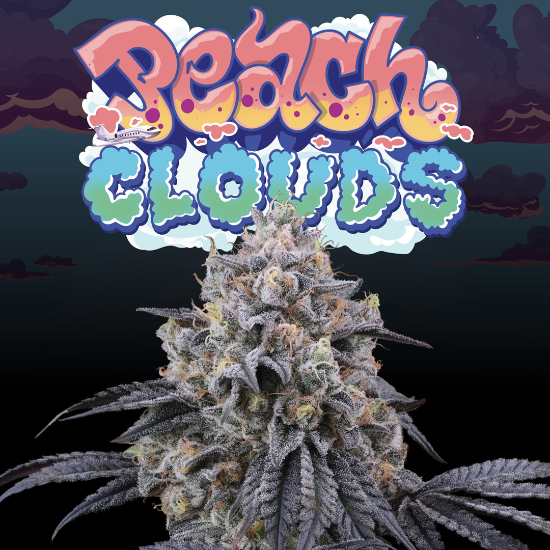 Peach clouds