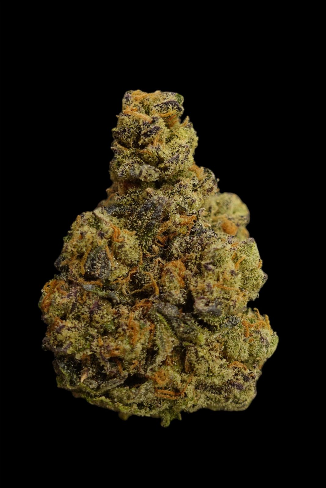 Gorilla Melon