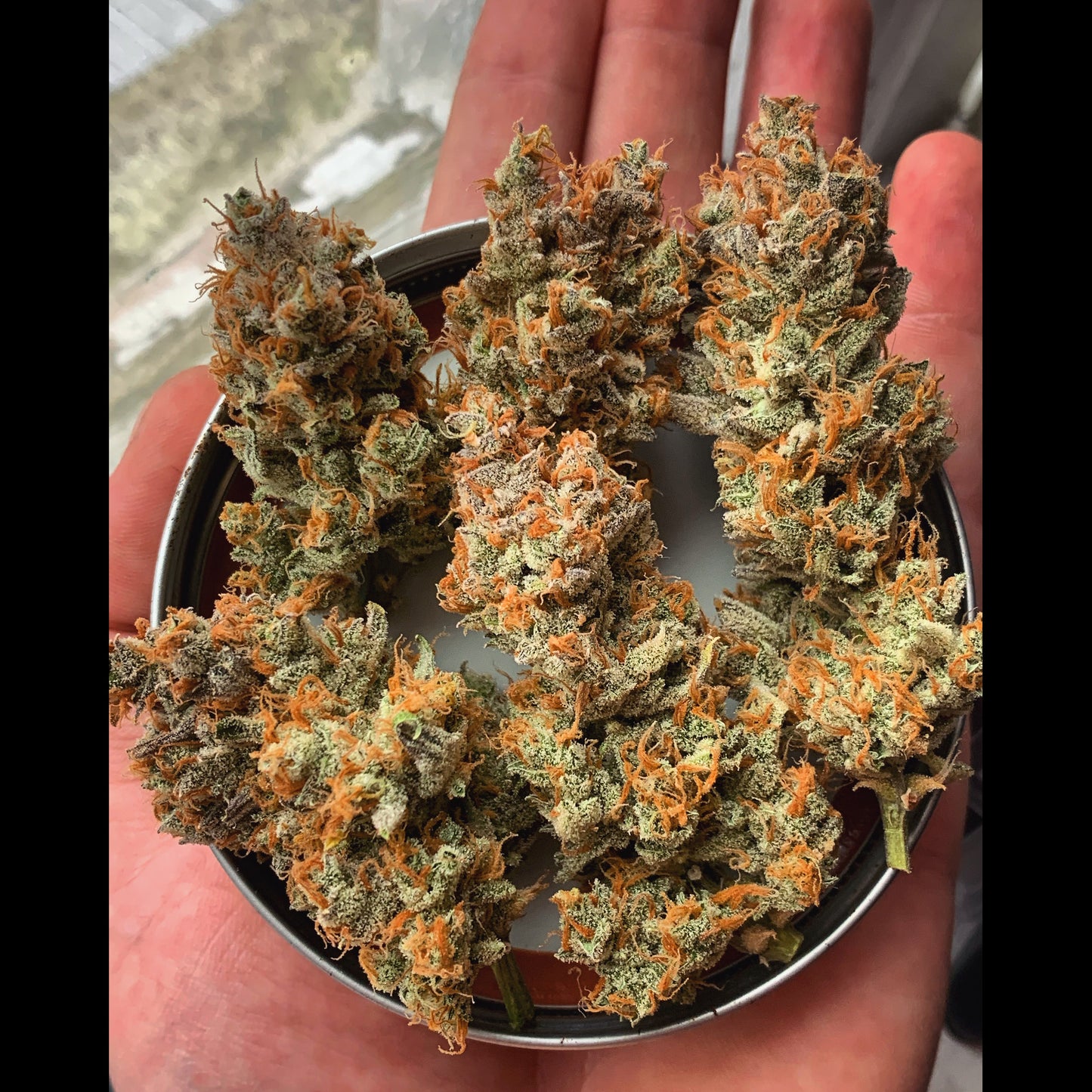 Strawberry Banana Auto