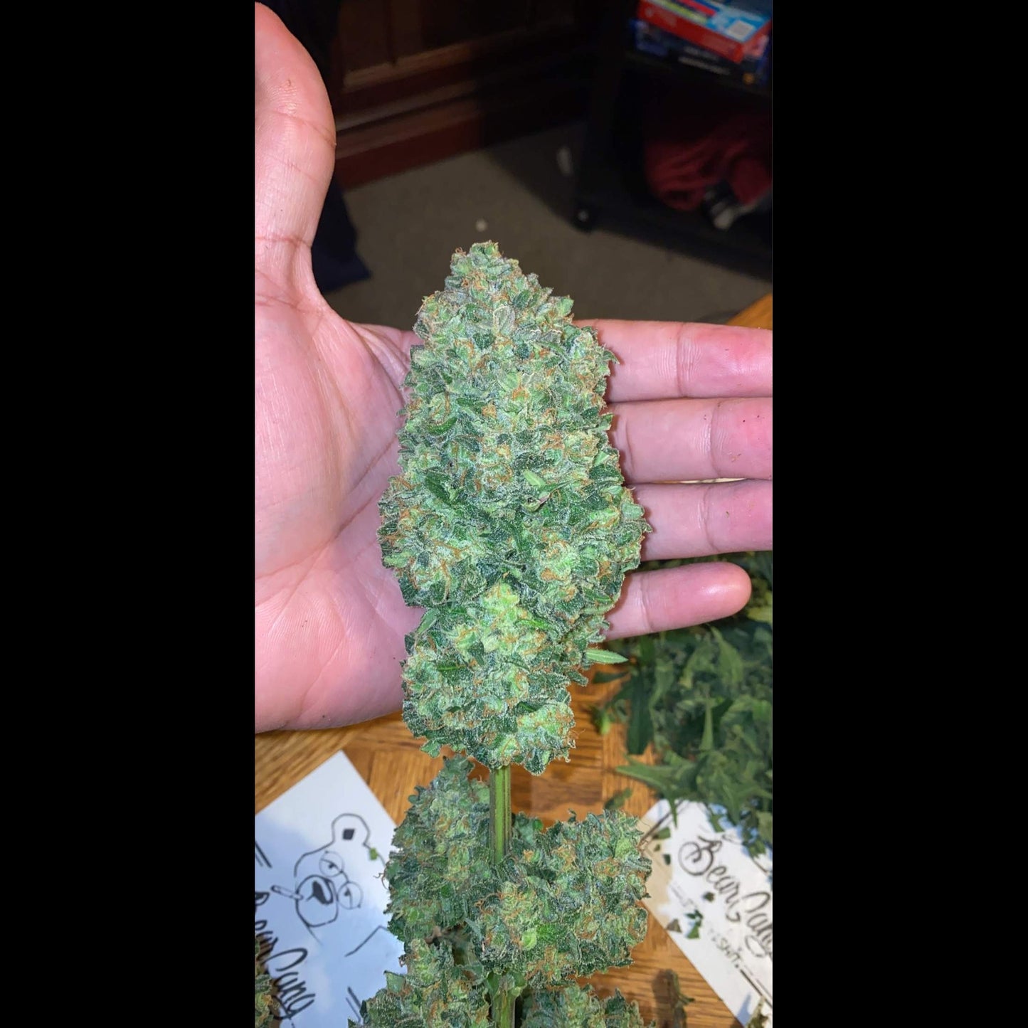Chemdawg Auto
