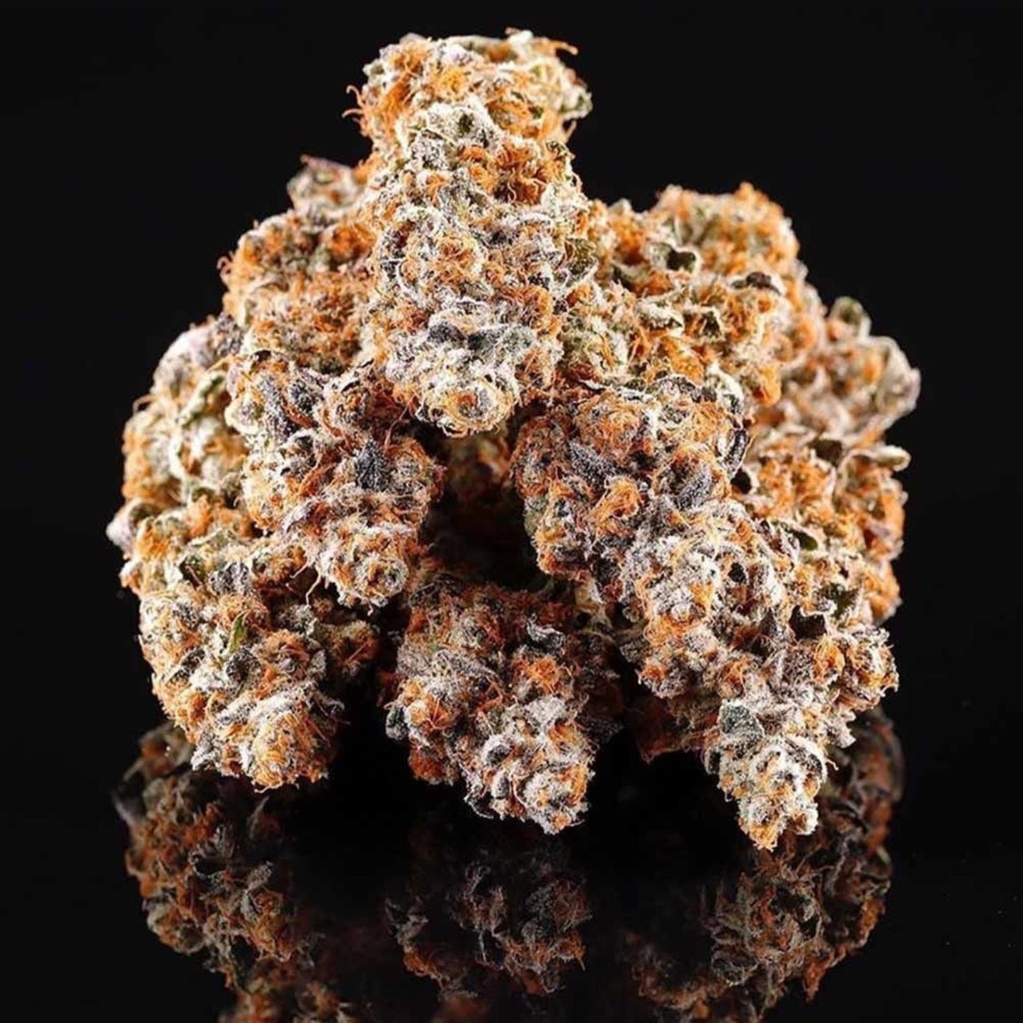 La Bomba