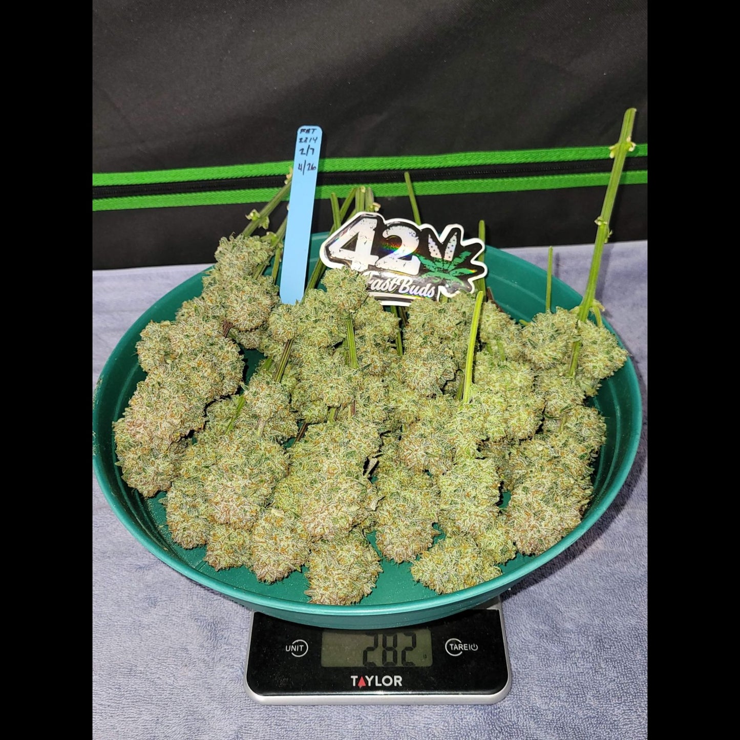 Apricot Auto