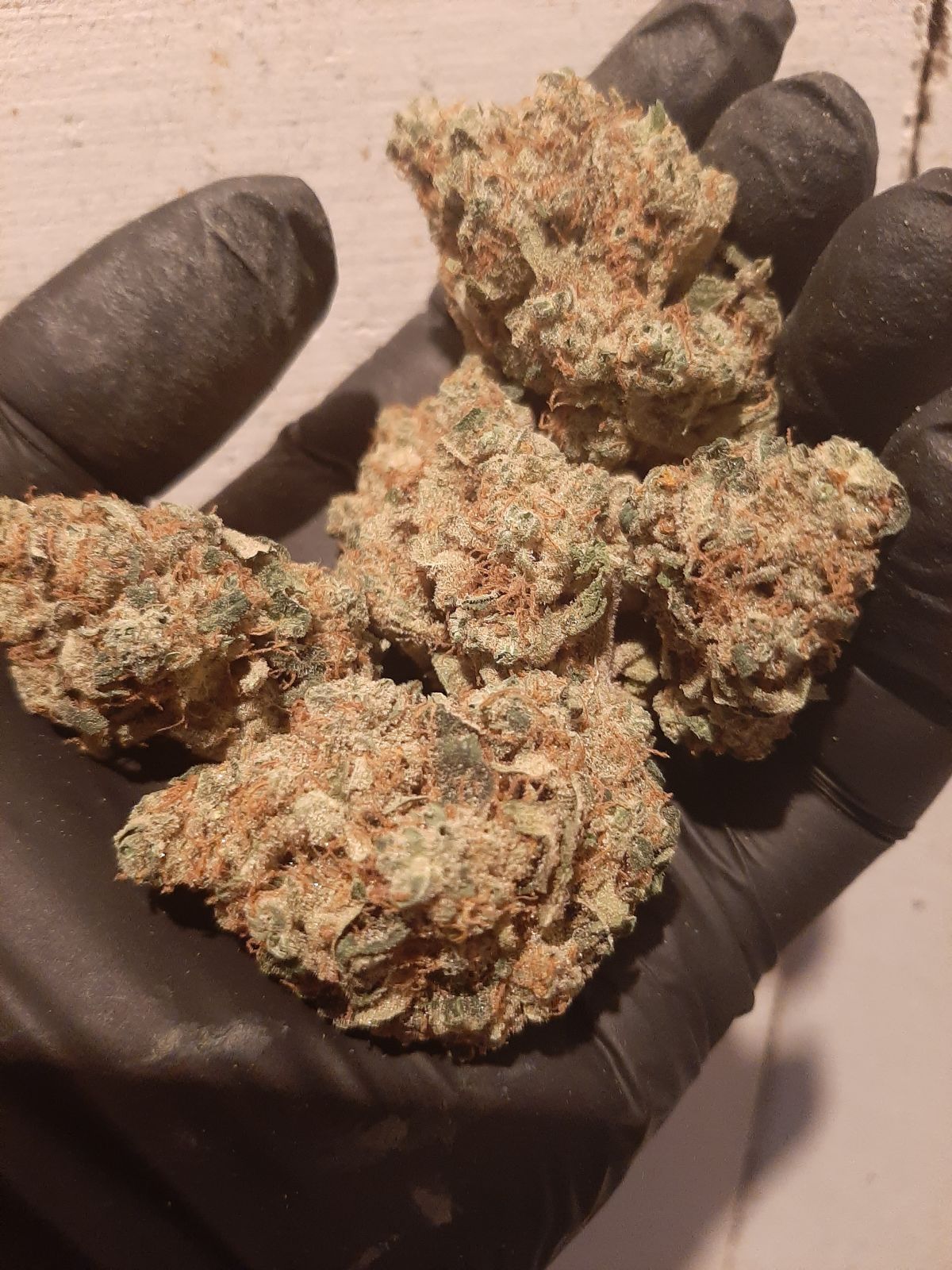 Lemon Mandarin