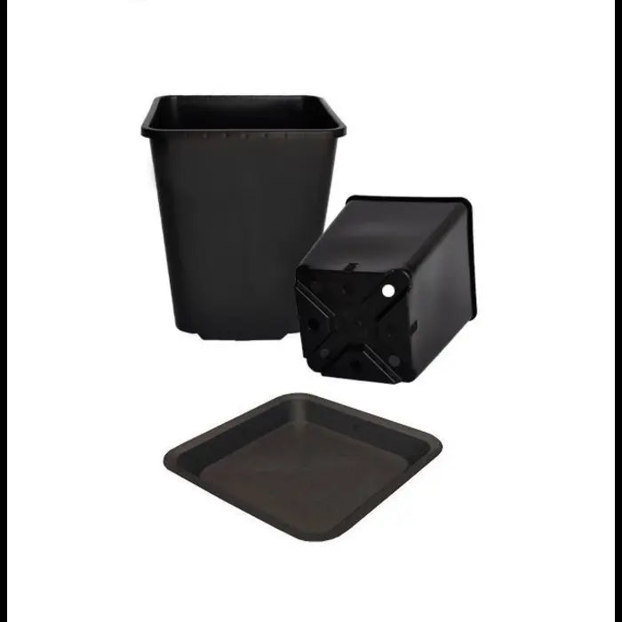 Square plastic pot + saucer