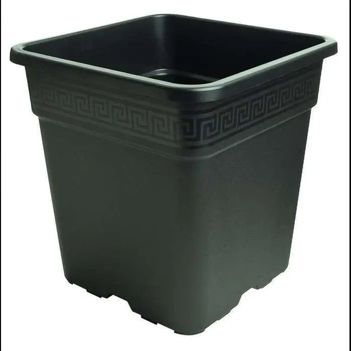 Square plastic pot + saucer