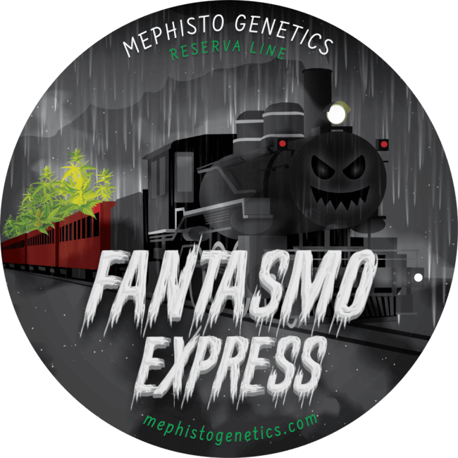 Fantasmo Express Auto