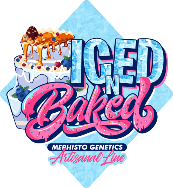 Iced 'N' Baked Auto