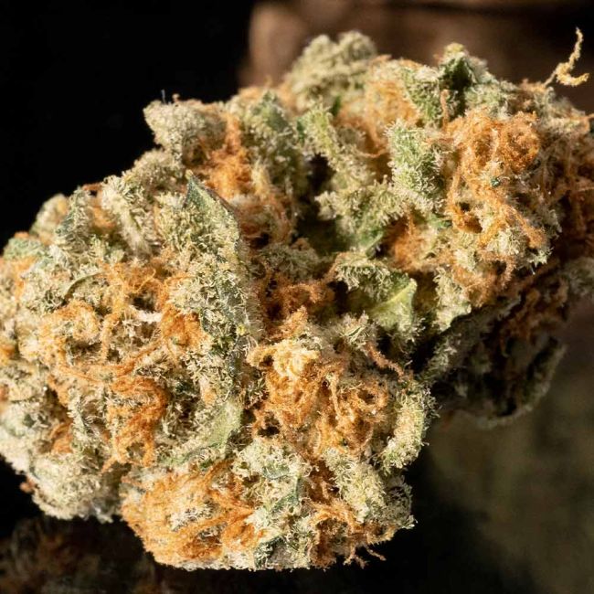 Ice Dream Cake