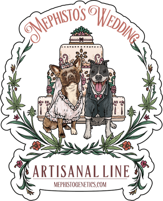 Mephisto's Wedding Auto