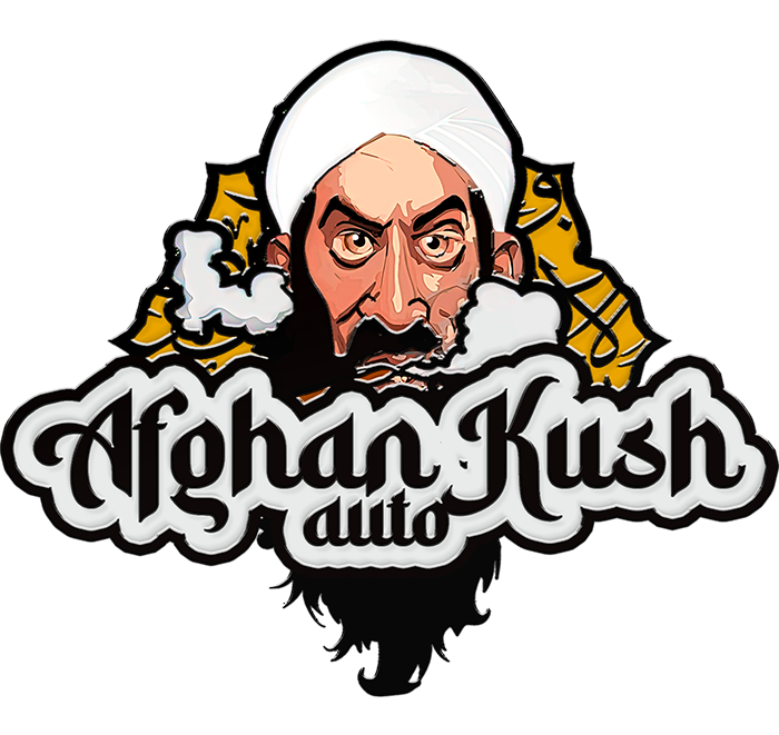 Afghan Kush Auto