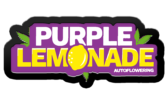Purple Lemonade Auto