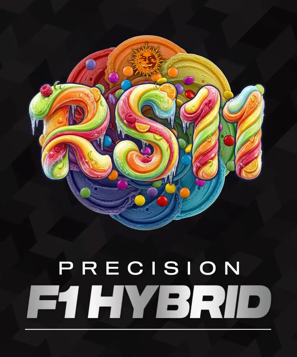 RS11 F1 hybrid