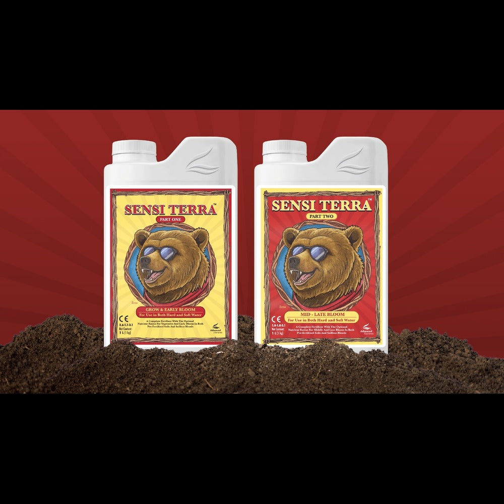 Sensi Terra Part ONE & TWO