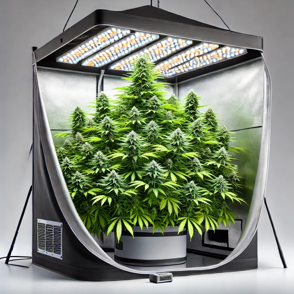 Lights & Growboxes