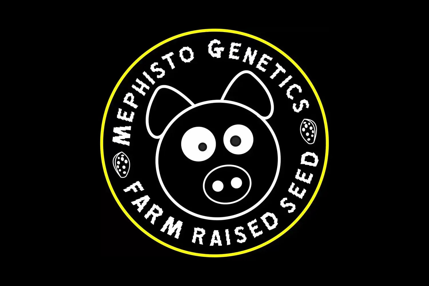 Mephisto Genetics