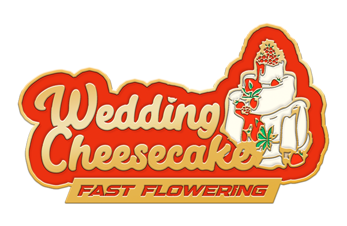 Wedding Cheesecake Fast Flowering