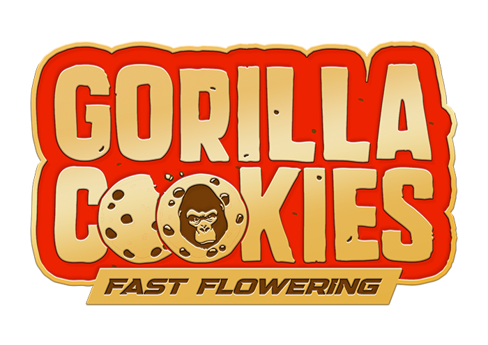 Gorilla Cookies Fast Flowering