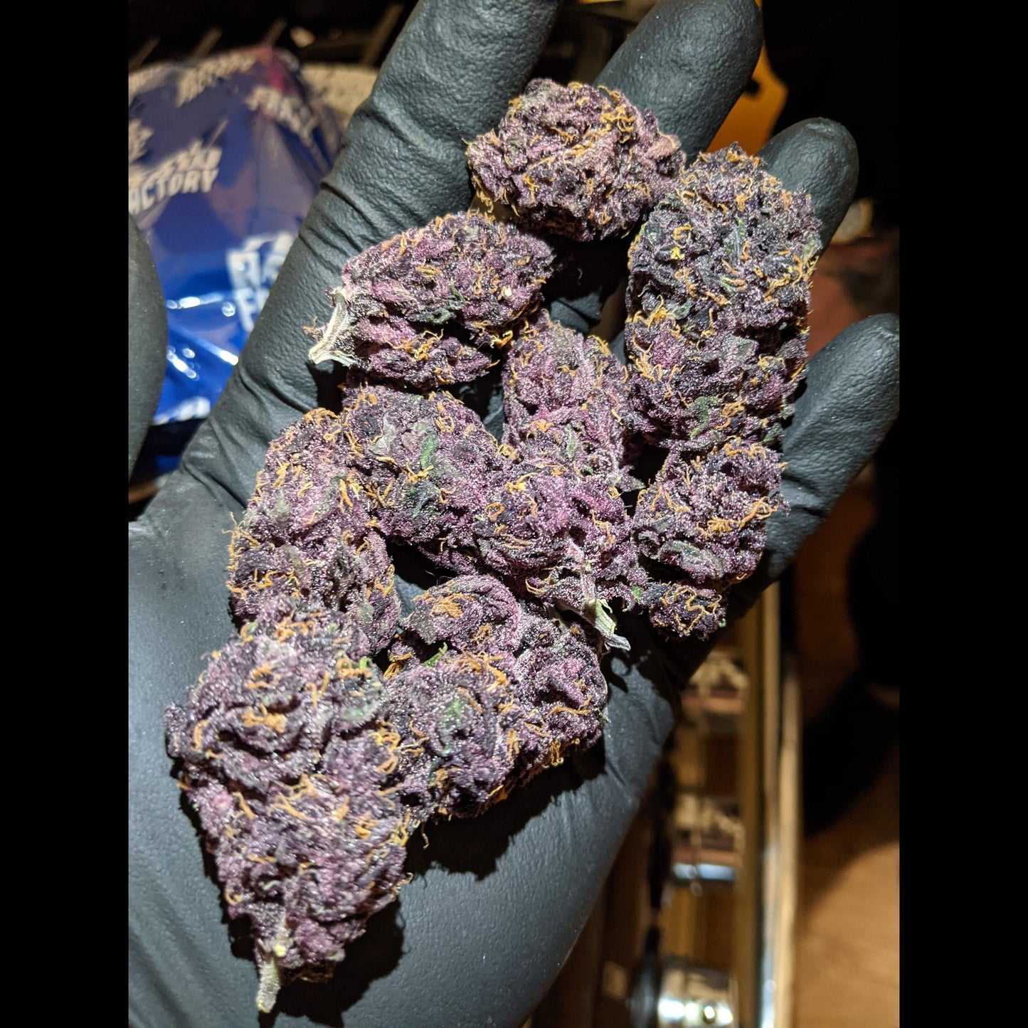 Blackberry Auto