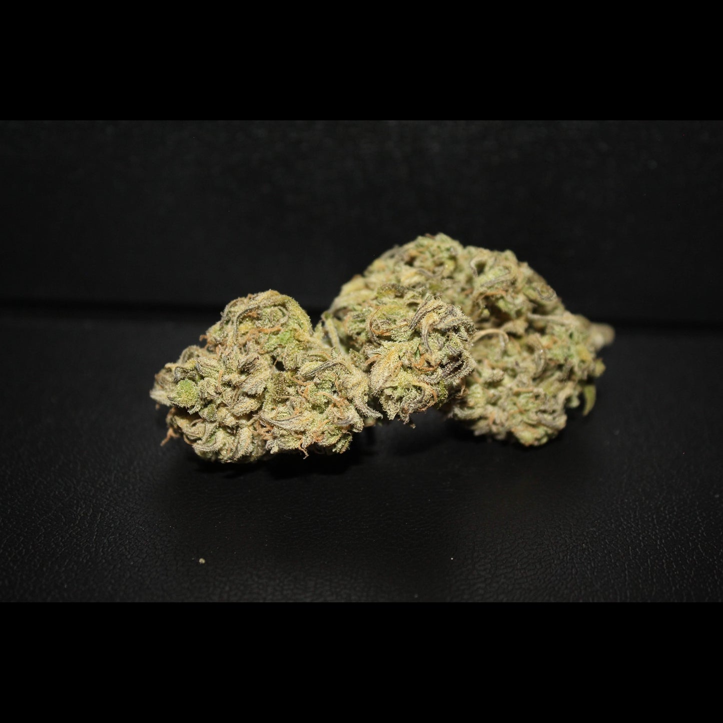 Northern Lights Auto