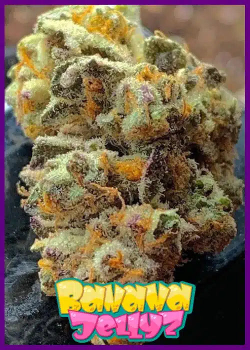 Banana Jelly’Z