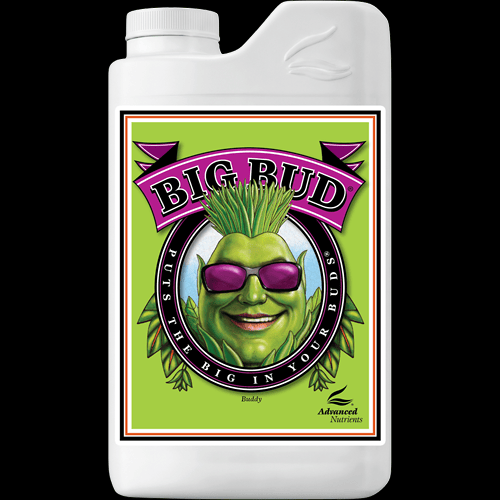 Big Bud