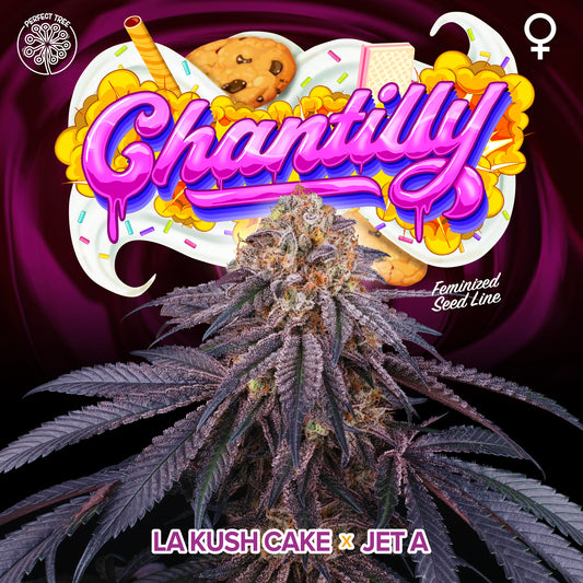 CHANTILLY