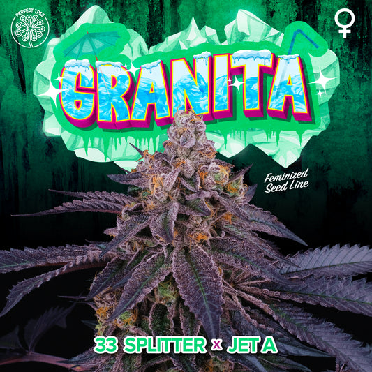 GRANITA