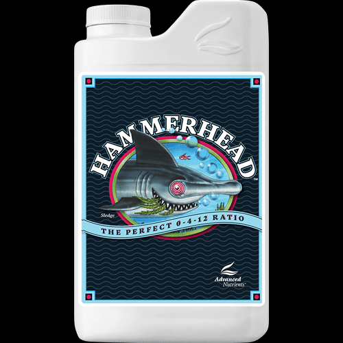 Hammerhead