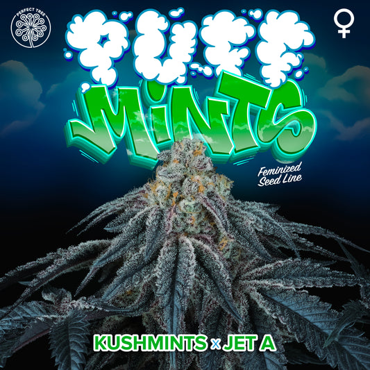 Puff Mints
