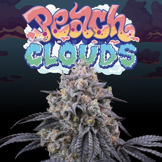 Peach clouds