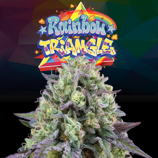 Rainbow Triangle