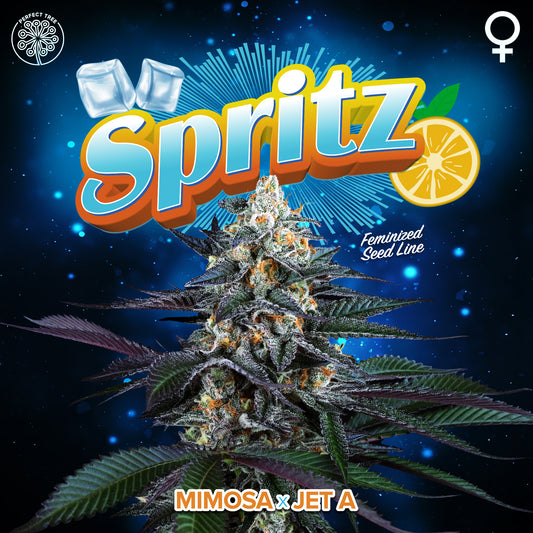 Spritz