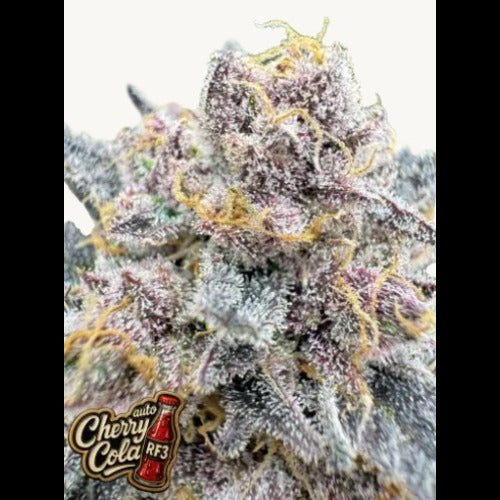 Cherry Cola Auto RF3