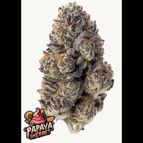 Papaya Sherbet