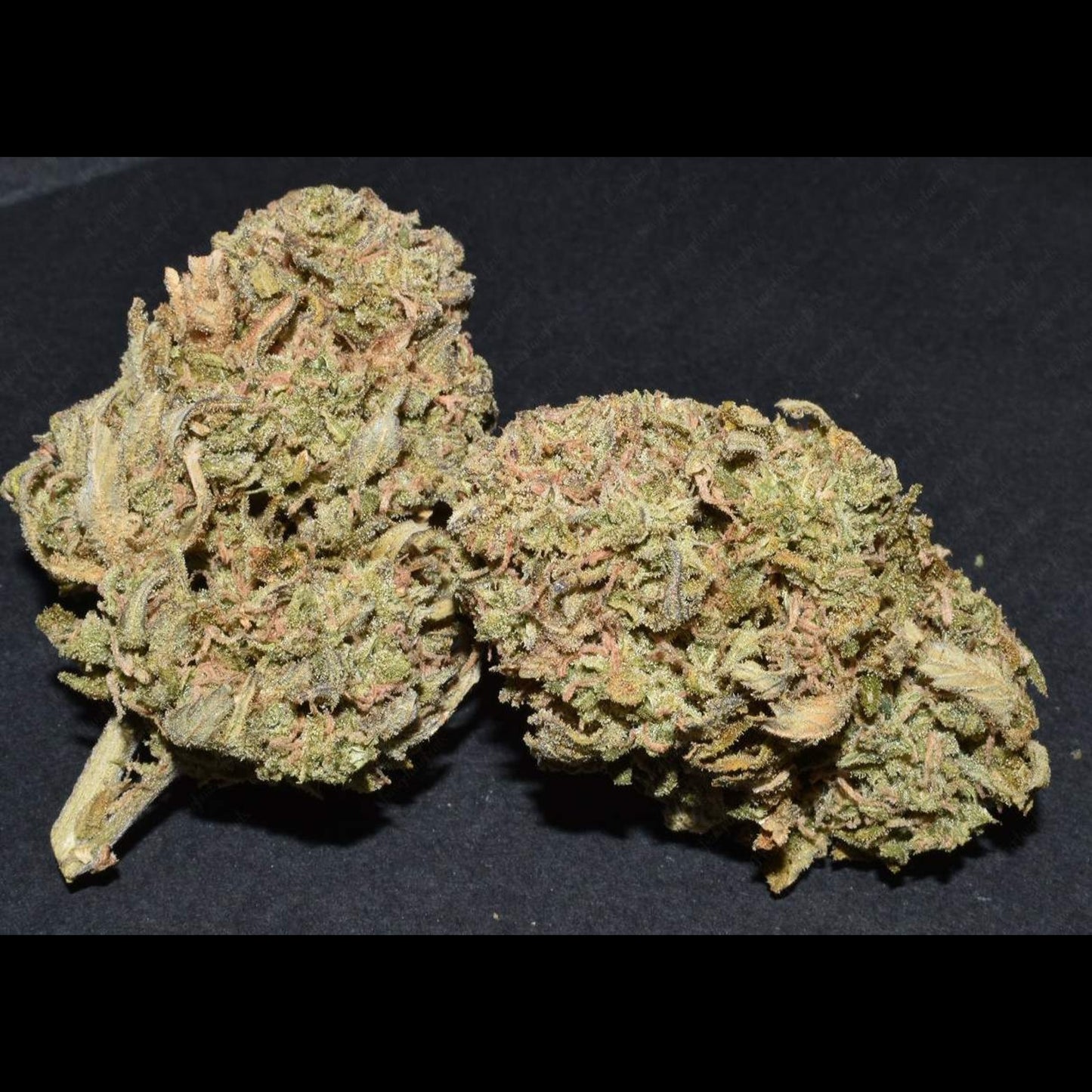 West Coast O.G. Auto