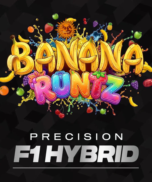 Banana Runtz F1 hybrid