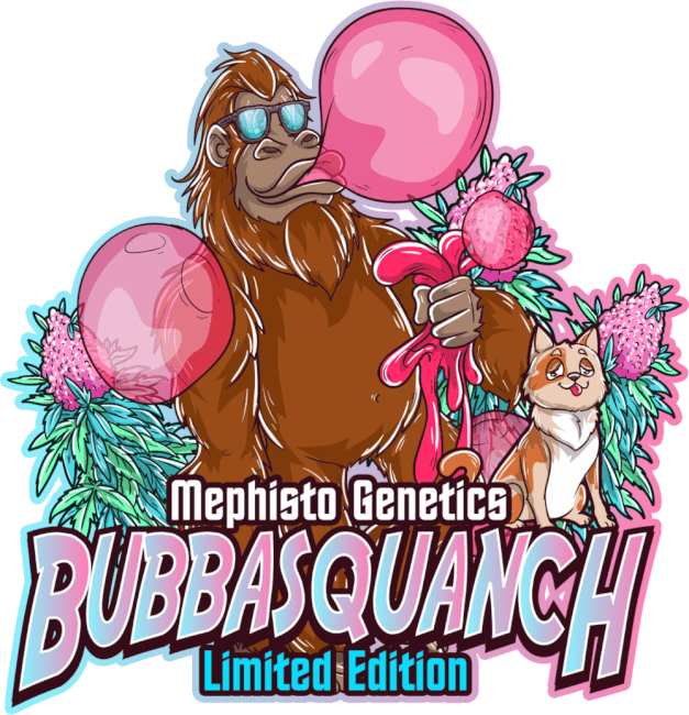 Bubbasquanch