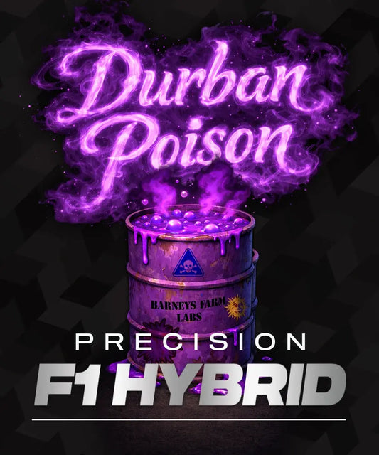 Durban Poison F1 hybrid
