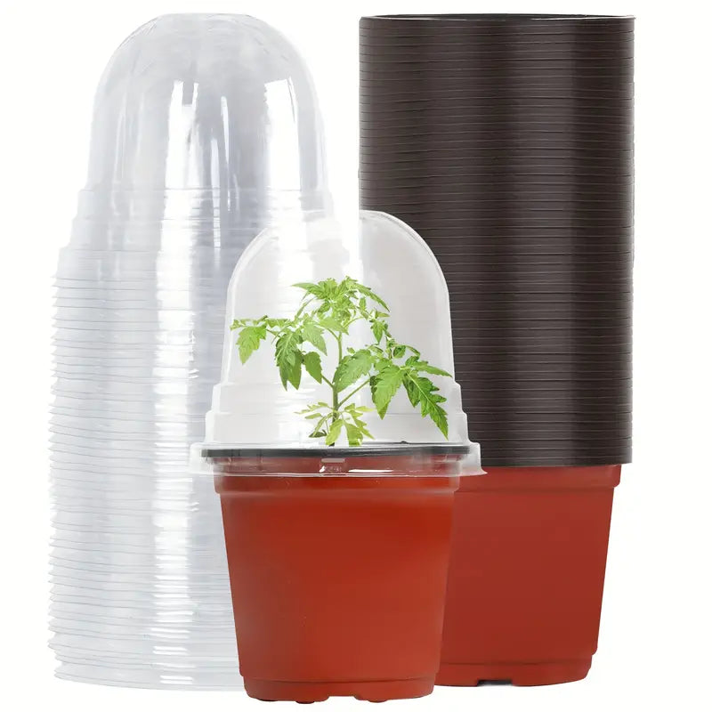 Plastic Nursery Pot With Clear Dome