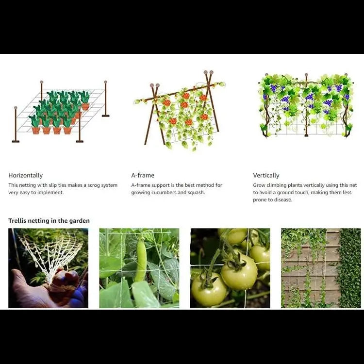 Plant climbing net - Trellis Netting 1,5M x 18M