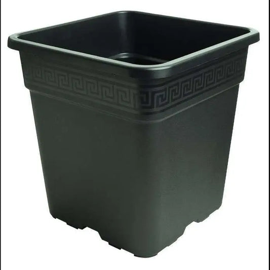 Square plastic pot + saucer