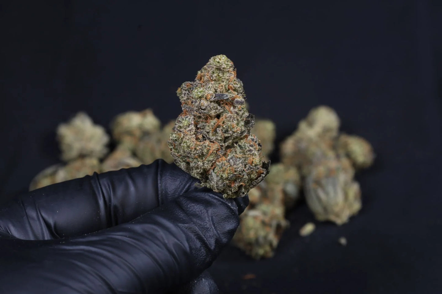 Guava Auto RF3
