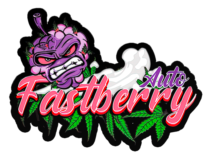 Fastberry Auto
