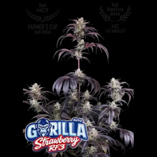 Strawberry Gorilla Auto RF3