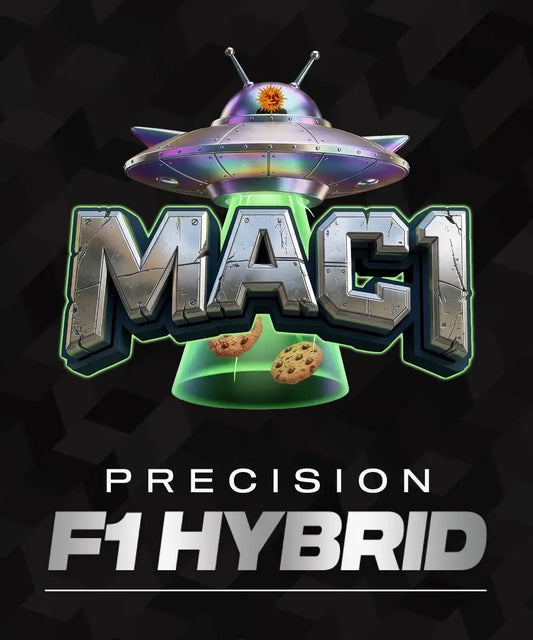 MAC 1 F1 hybrid